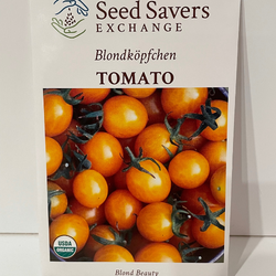 Blondkopfchen Tomato, organic